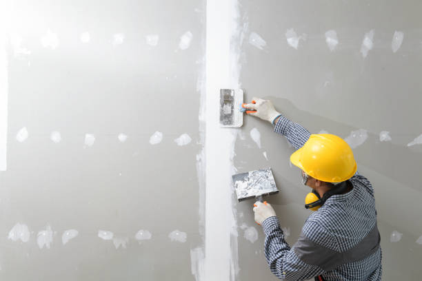 Best Water-Damaged Drywall Repair  in Hackettstown, NJ